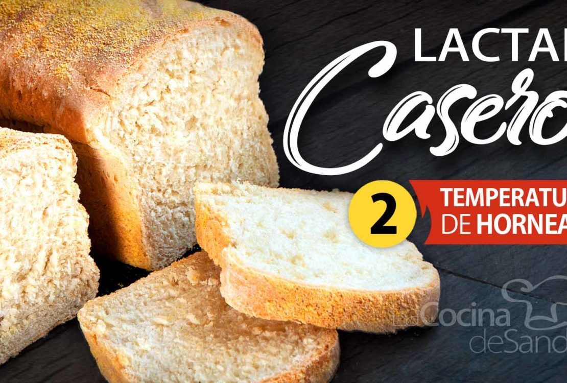 ingredientes de pan lactal